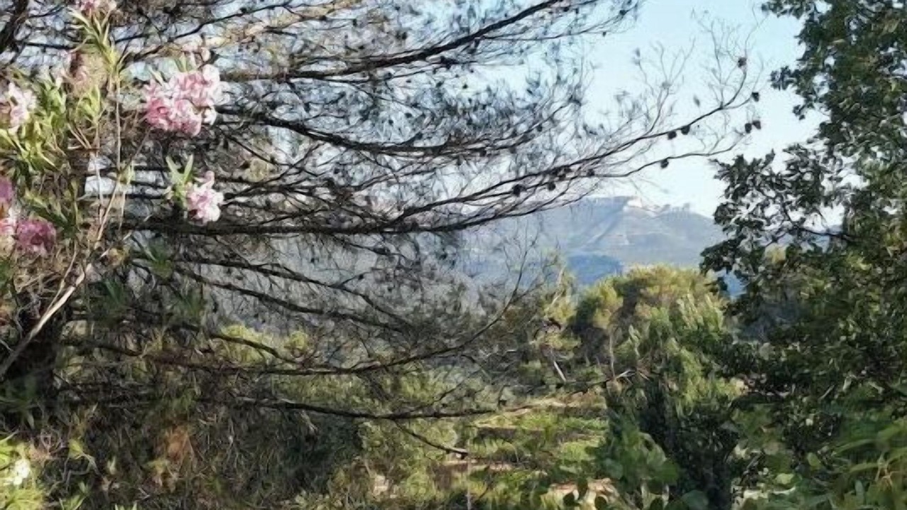 Photo of Outdoor in Auriol