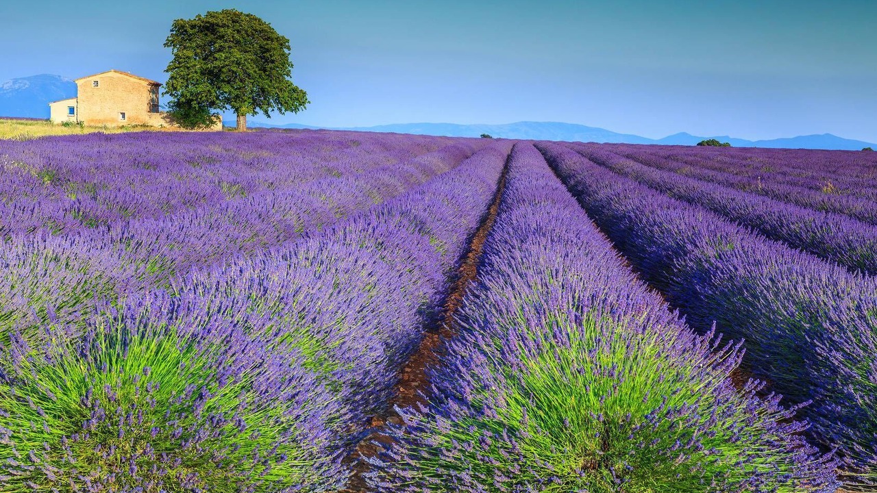 Photo of Outdoor in Baudinard-sur-Verdon