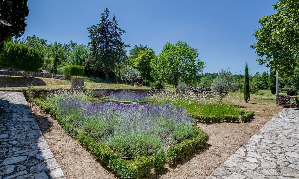 Photo of Others in Saignon