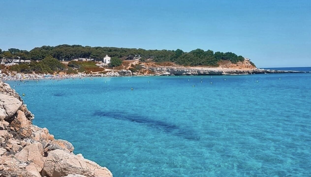Photo of Others in Martigues
