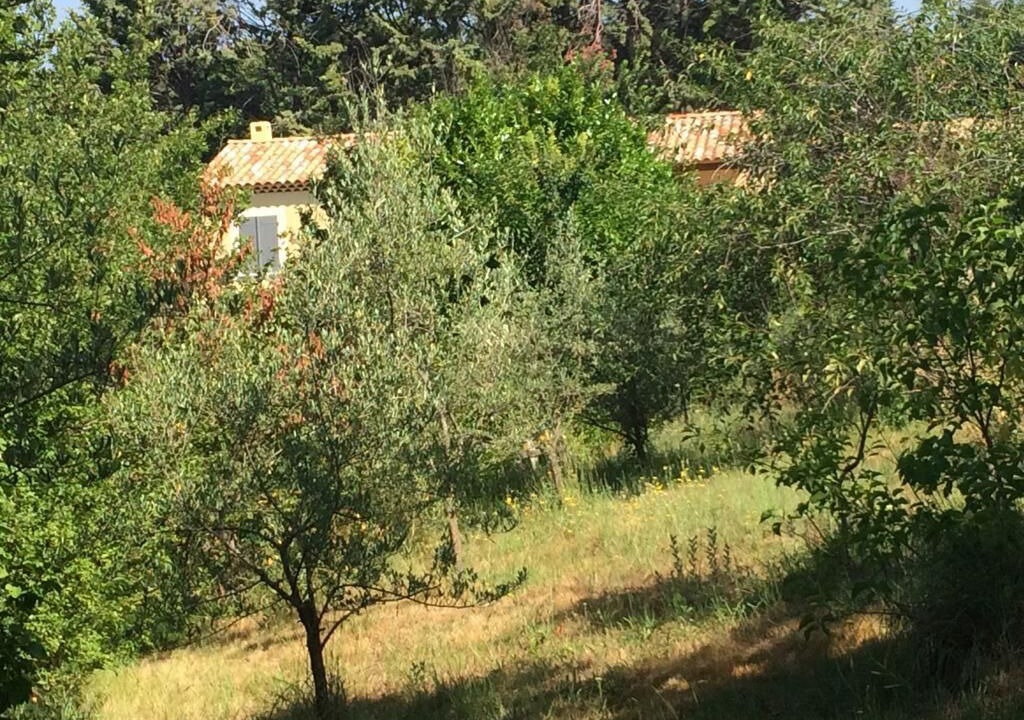Photo of Outdoor in Forcalquier