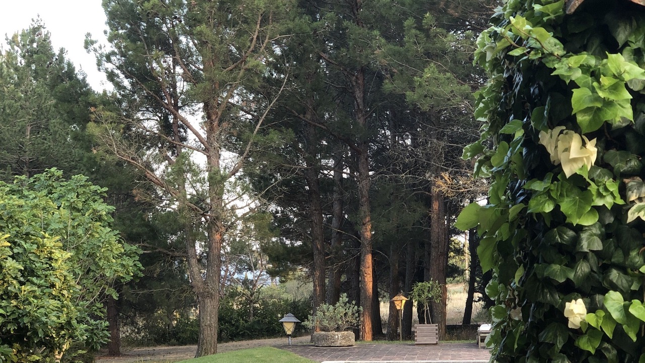 Photo of Outdoor in Grand Sud