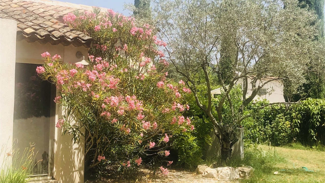 Photo of Outdoor in Grand Sud