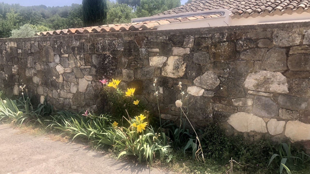 Photo of Outdoor in Grand Sud