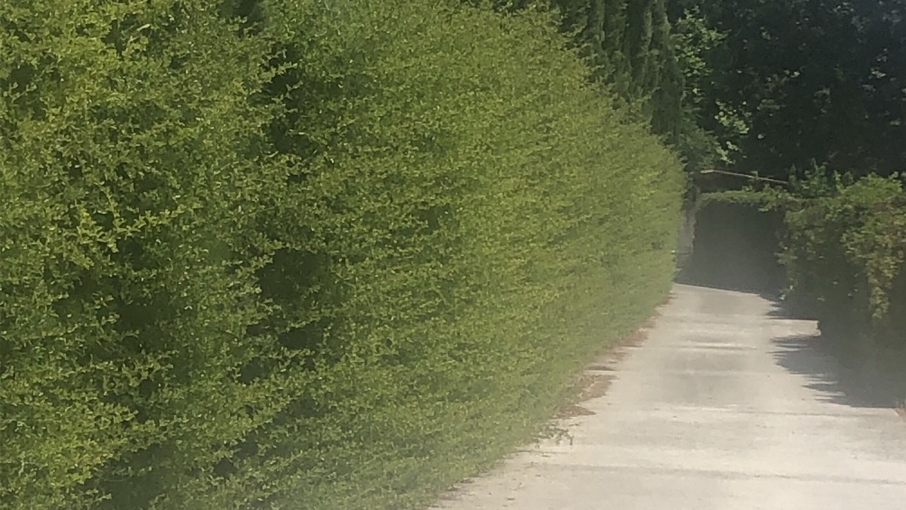 Photo of Outdoor in Grand Sud