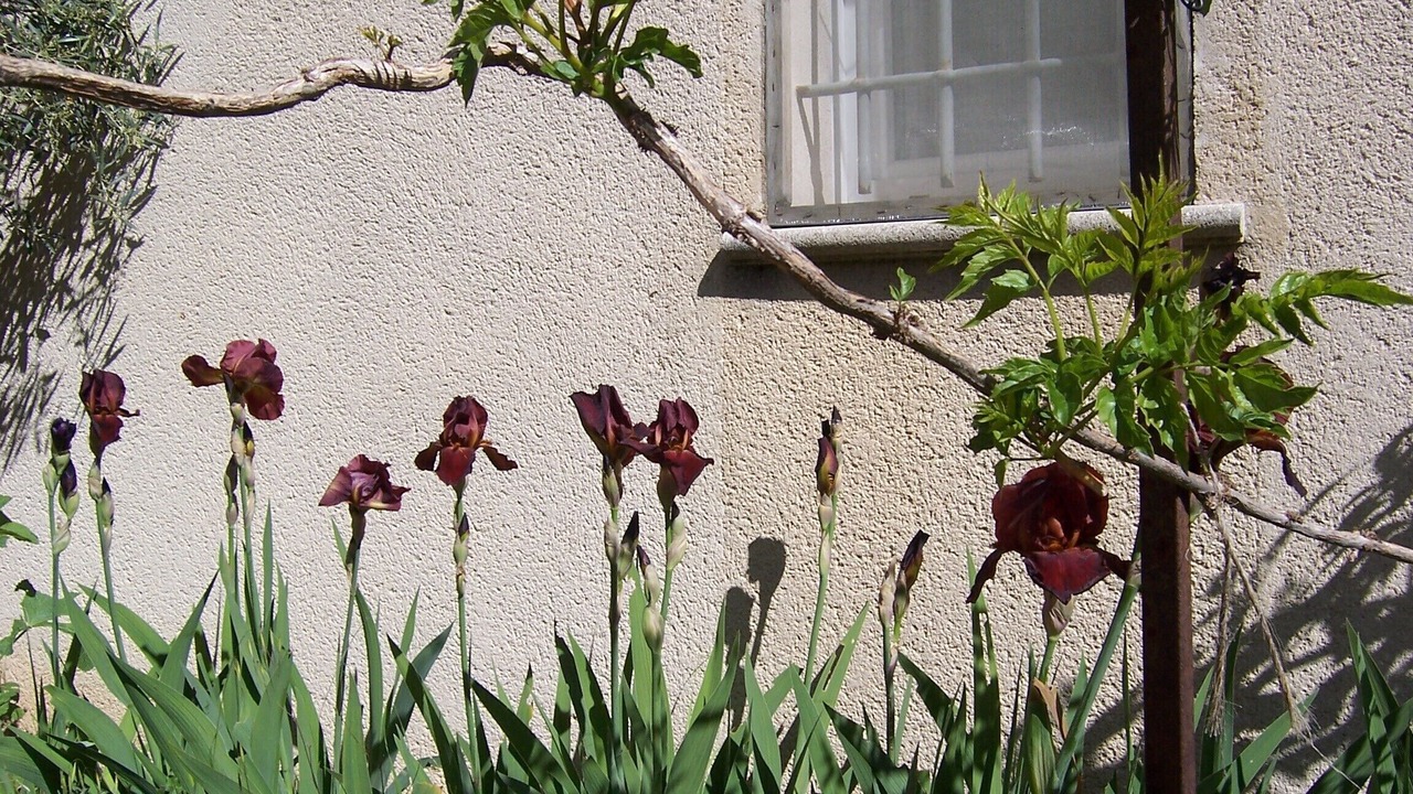 Photo of Outdoor in Lourmarin