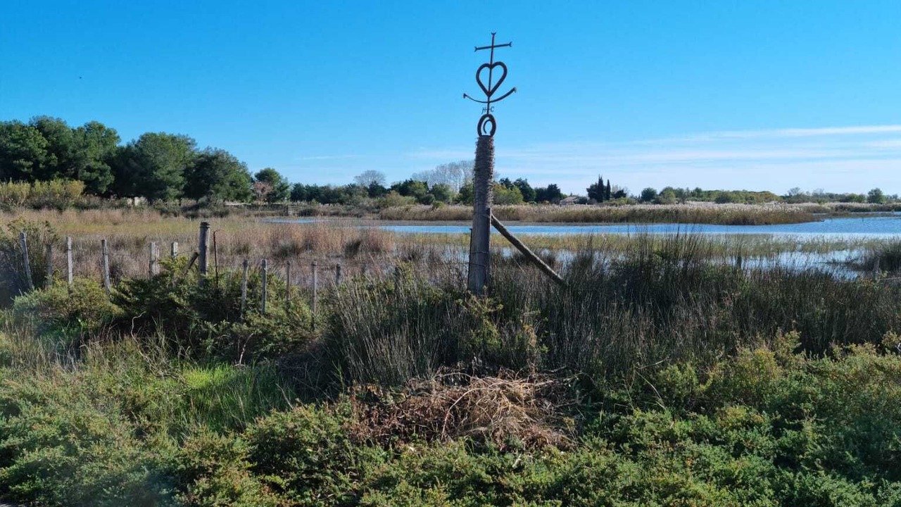 Photo of Outdoor in Saintes-Maries-de-la-Mer
