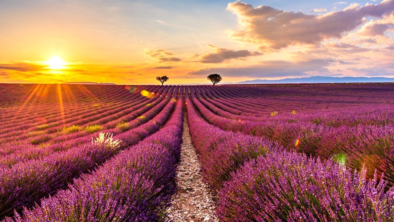 Photo of Others in Valensole