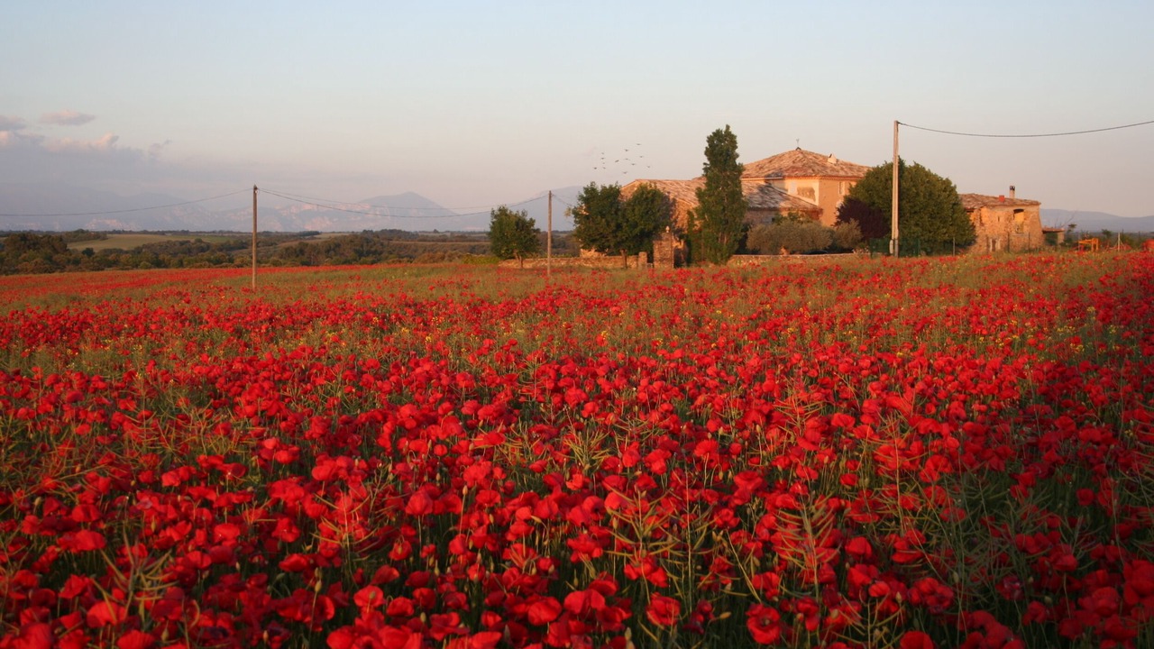 Photo of Outdoor in Valensole