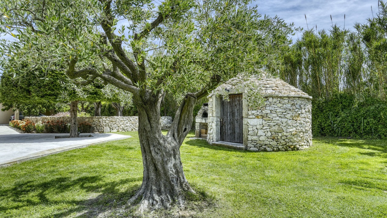 Photo of Outdoor in Chateauneuf-de-Gadagne