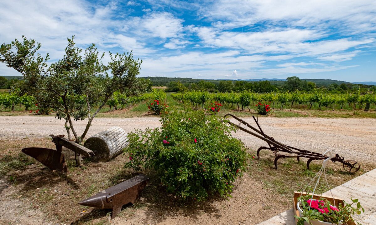 Photo of Outdoor in Fox-Amphoux