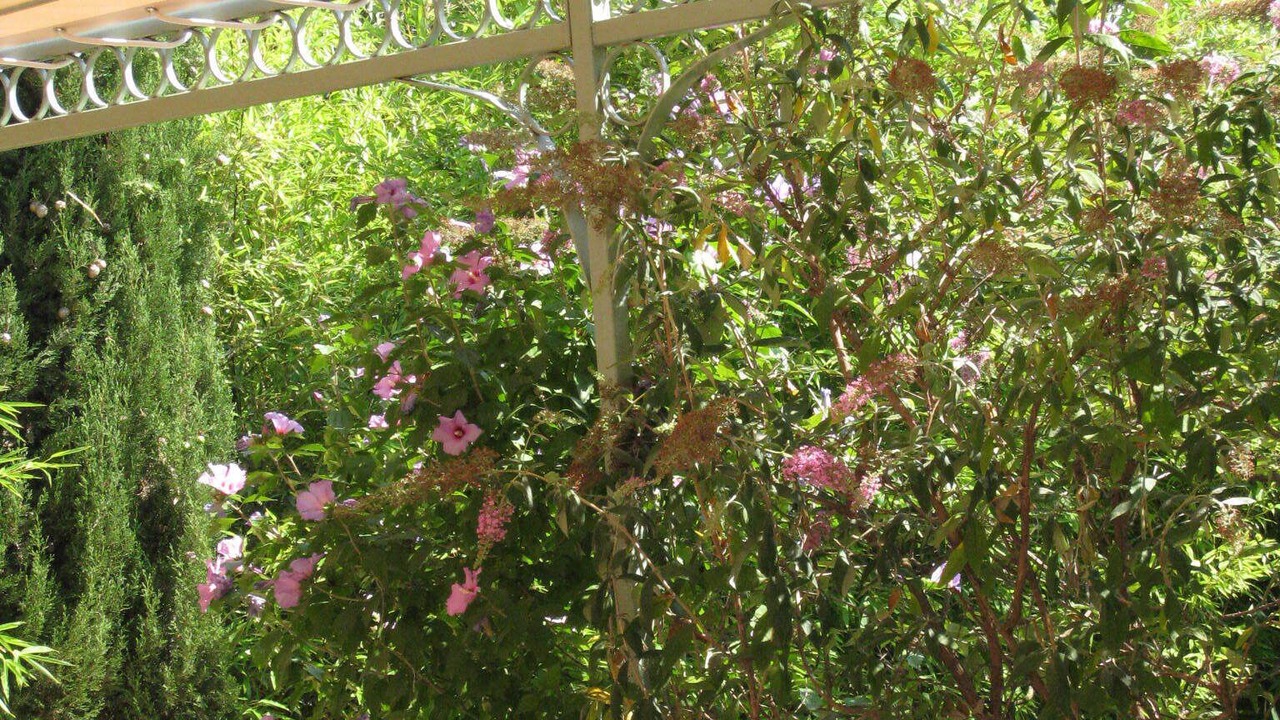 Photo of Outdoor in Comps