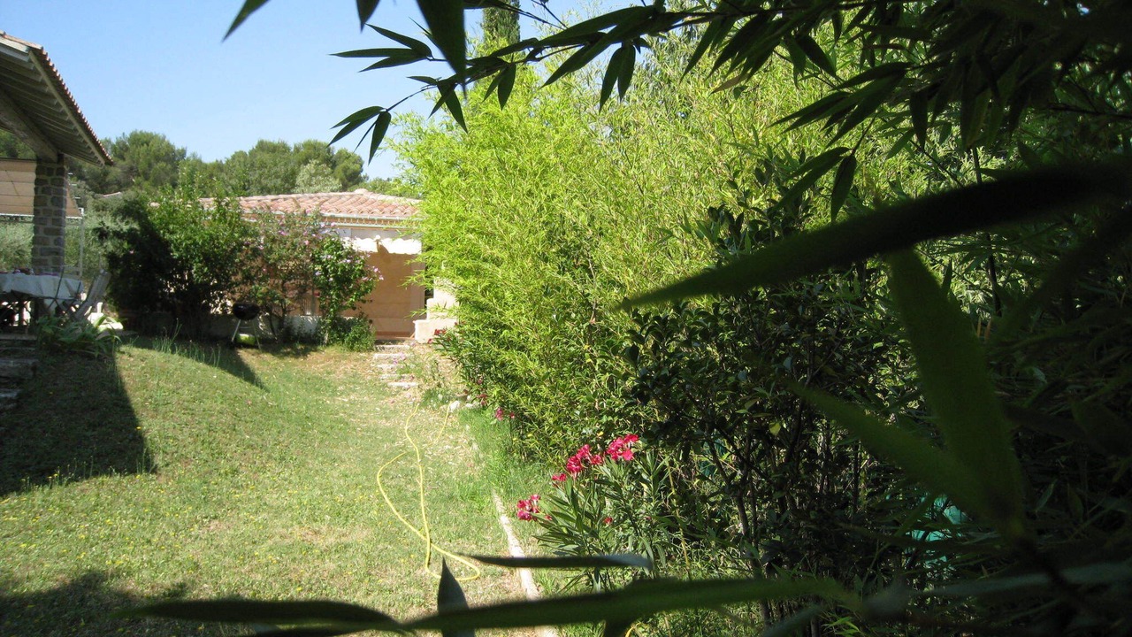 Photo of Outdoor in Comps