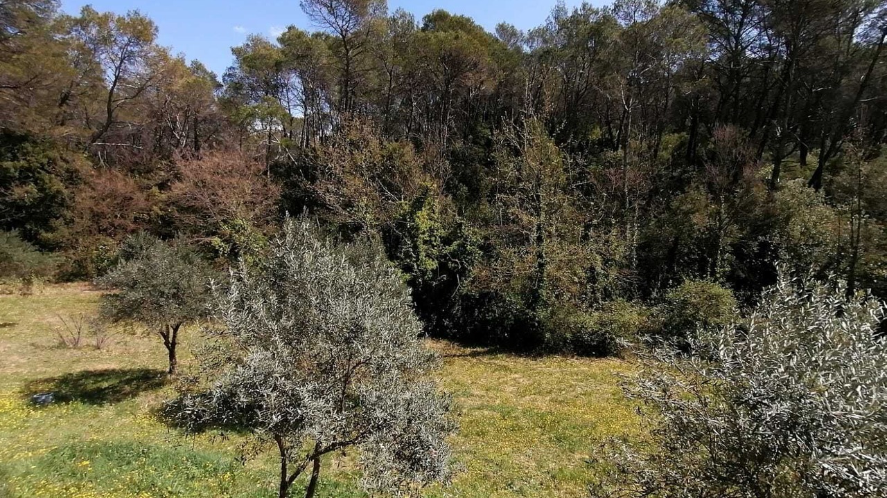 Photo of Outdoor in Draguignan