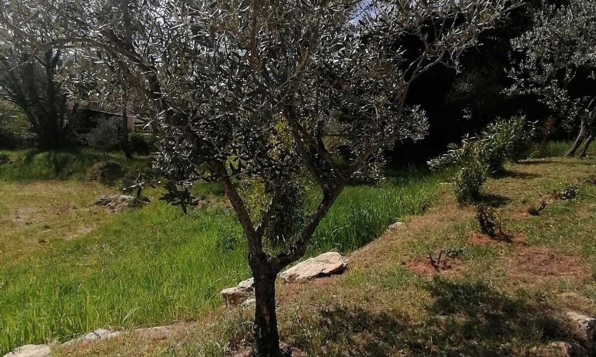 Photo of Outdoor in Draguignan