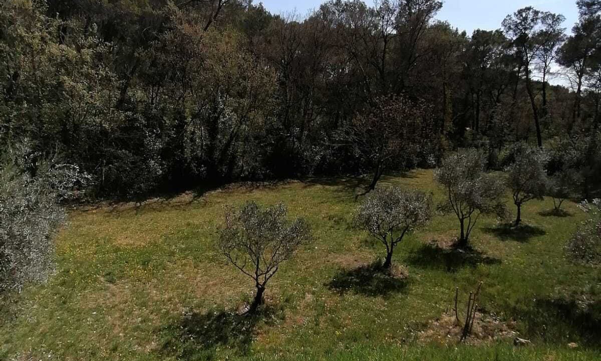 Photo of Outdoor in Draguignan