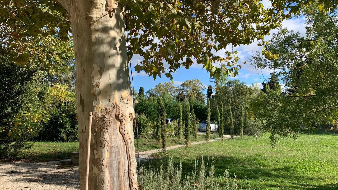 Photo of Outdoor in Saint-Andiol
