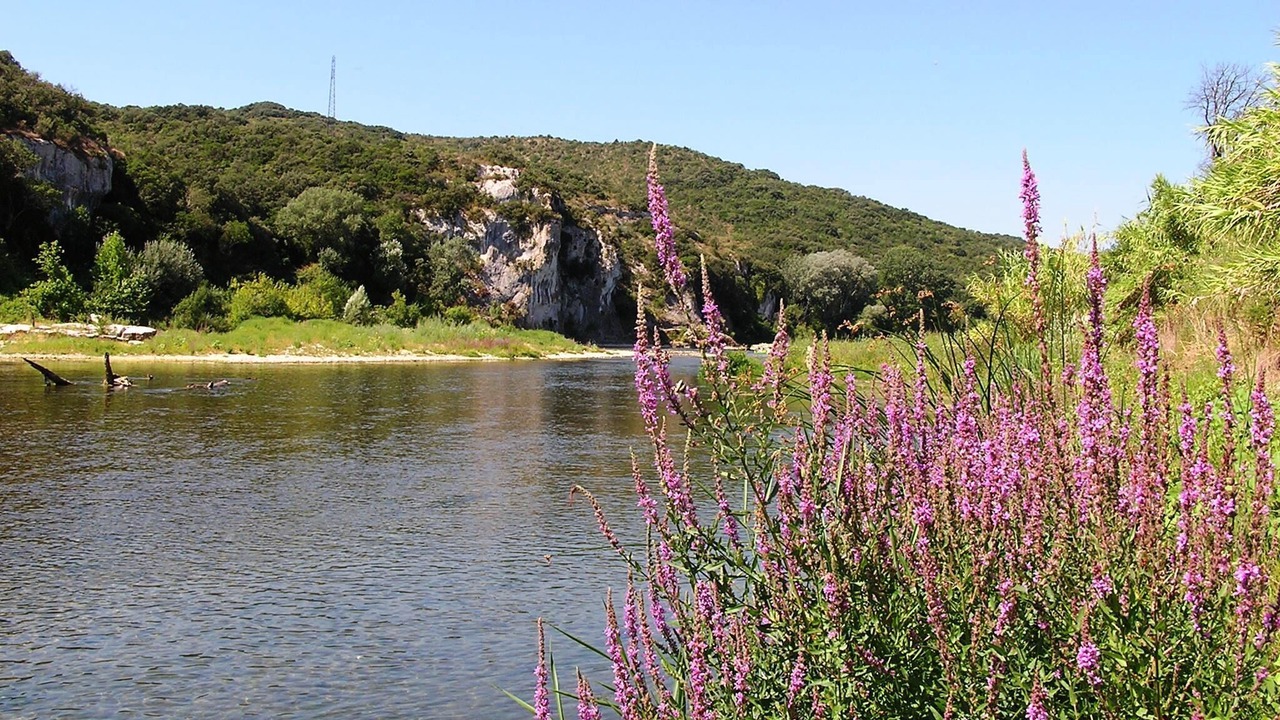 Photo of Others in Vers-Pont-du-Gard
