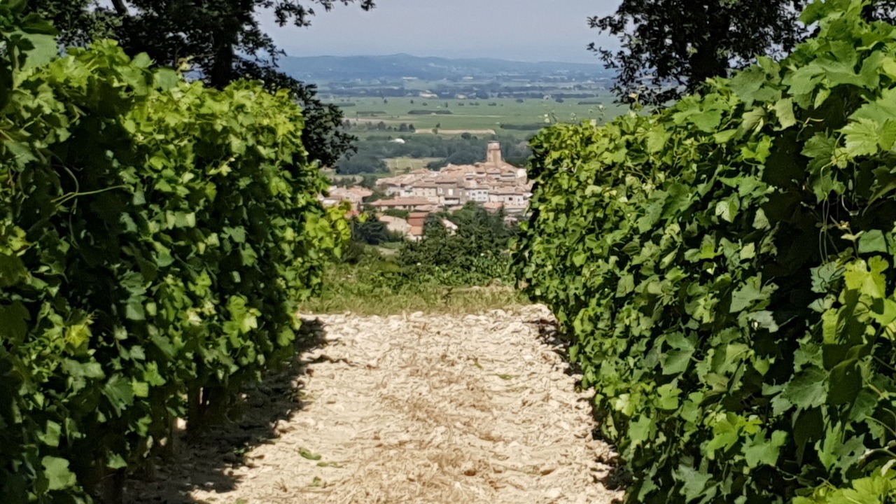 Photo of Outdoor in Sablet