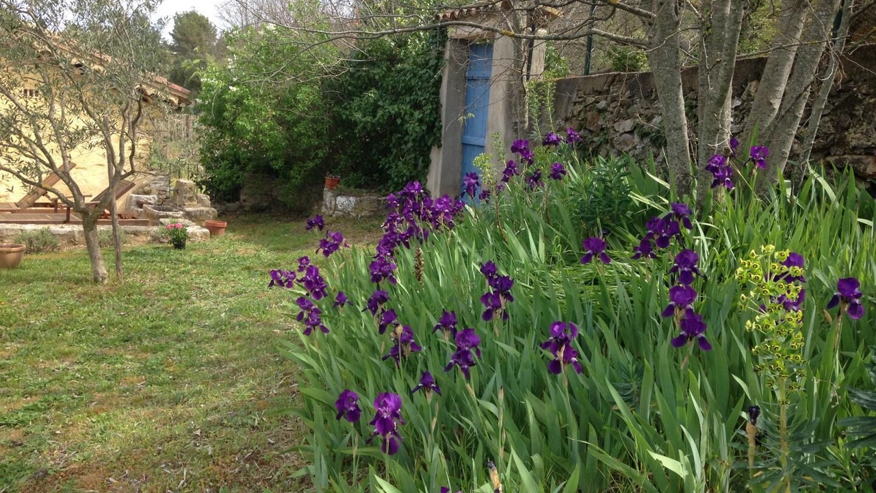Photo of Outdoor in Correns