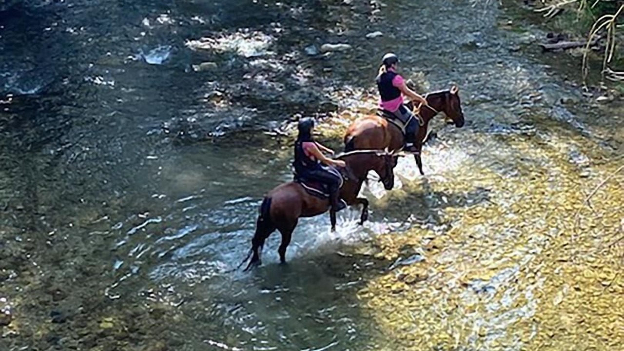 Photo of Outdoor in Correns