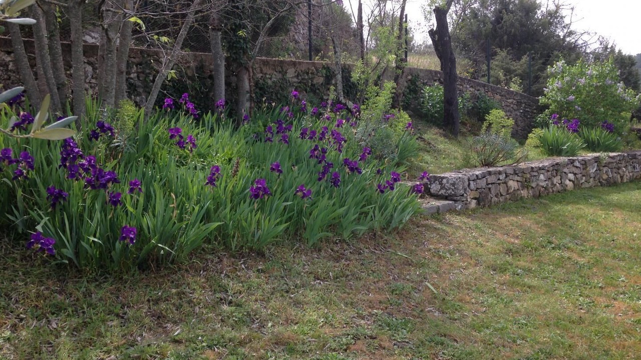 Photo of Outdoor in Correns