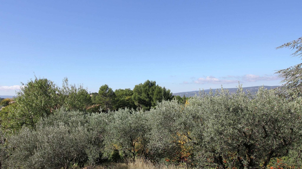 Photo of Others in Roussillon