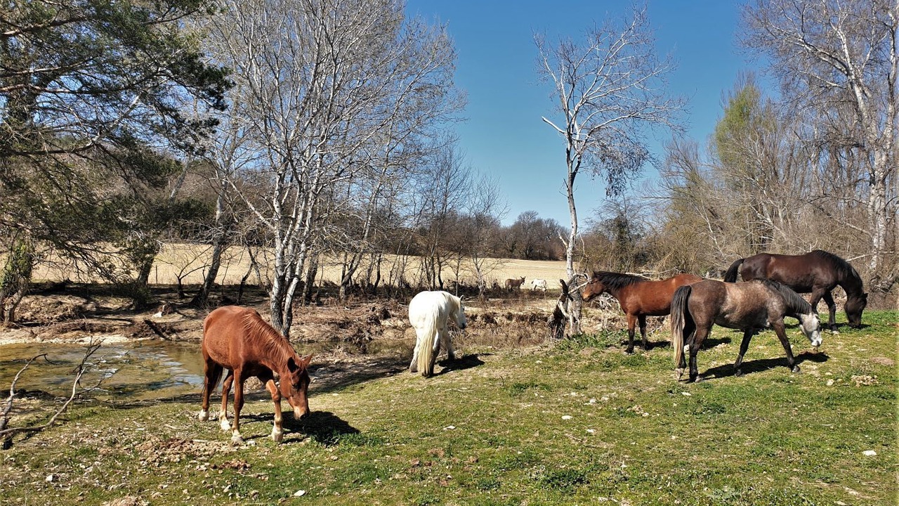 Photo of Outdoor in Lurs