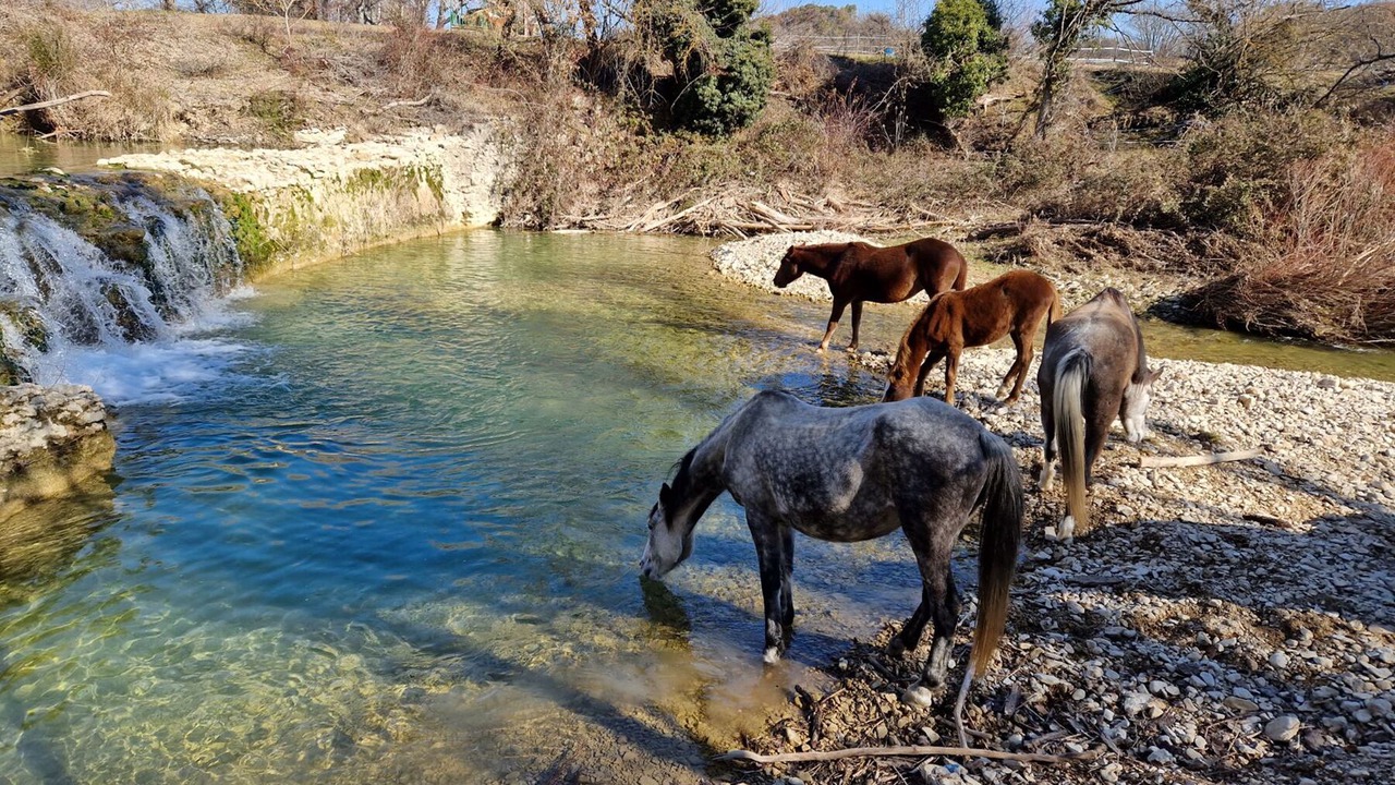 Photo of Others in Lurs