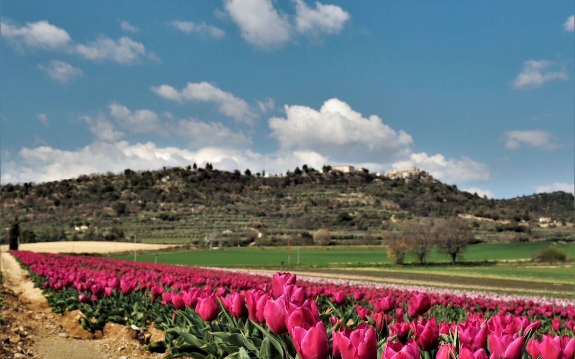 Photo of Outdoor in Lurs