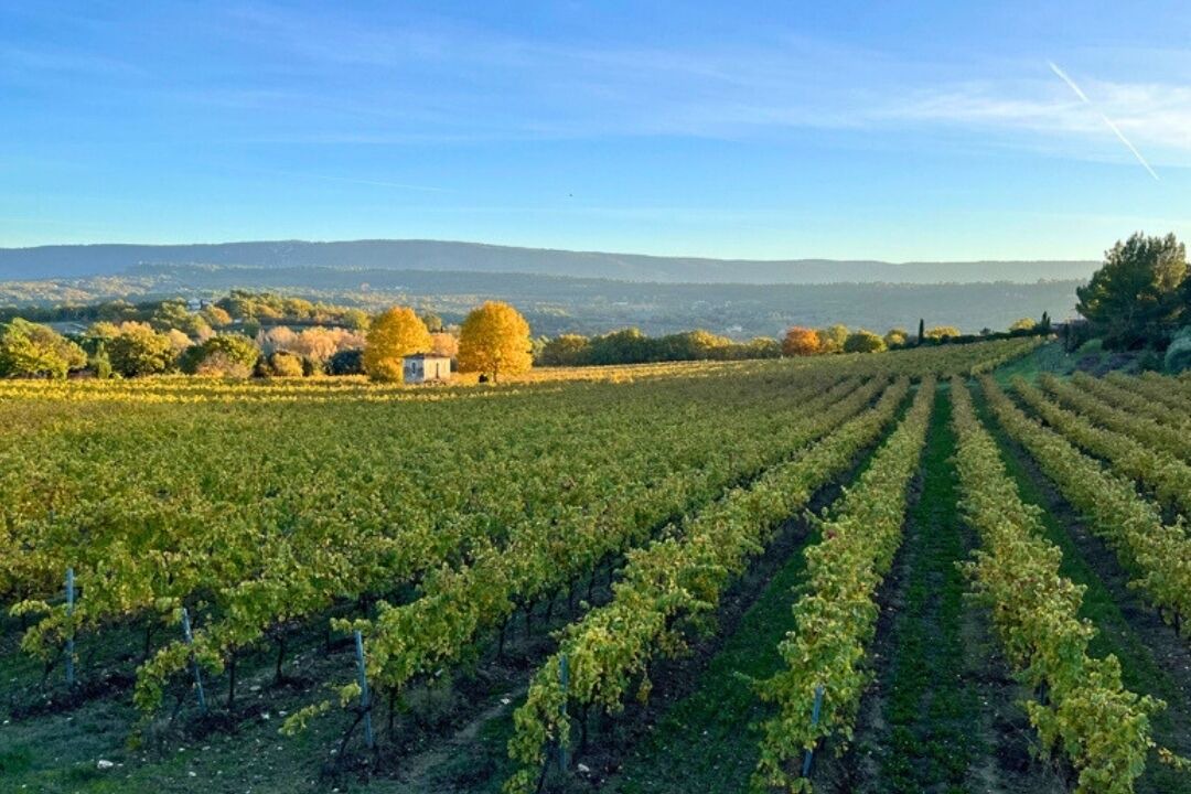 Photo of Outdoor in Saint-Saturnin-les-Apt