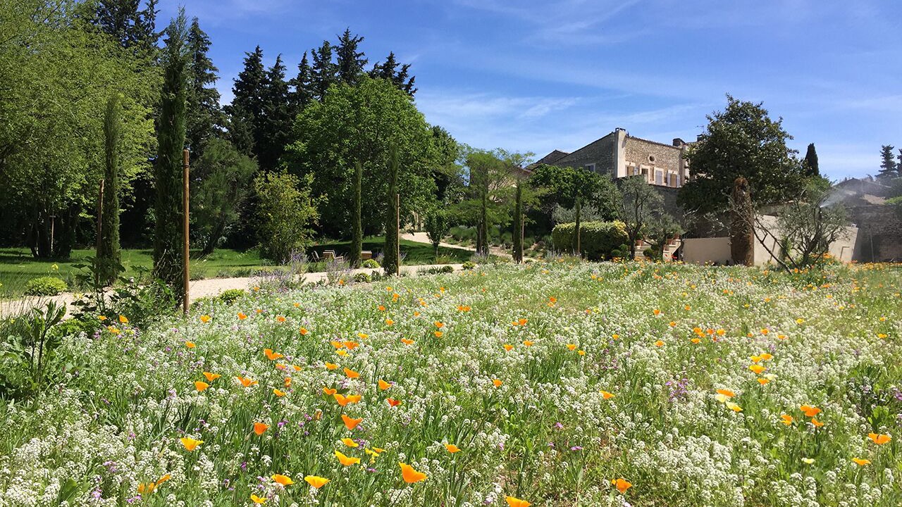 Photo of Outdoor in Gordes