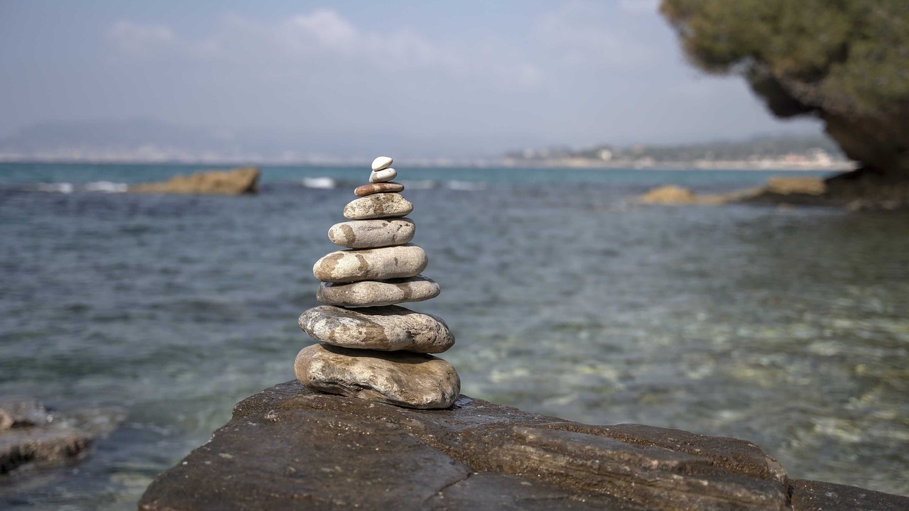 Photo of Others in La Madrague
