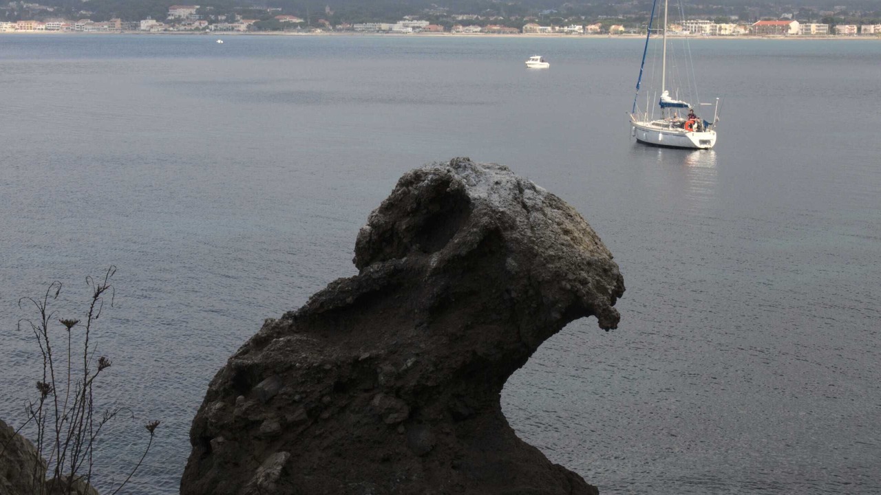 Photo of Others in La Madrague
