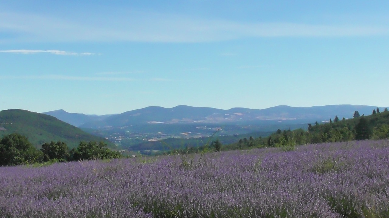 Photo of Outdoor in Saint-Saturnin-les-Apt