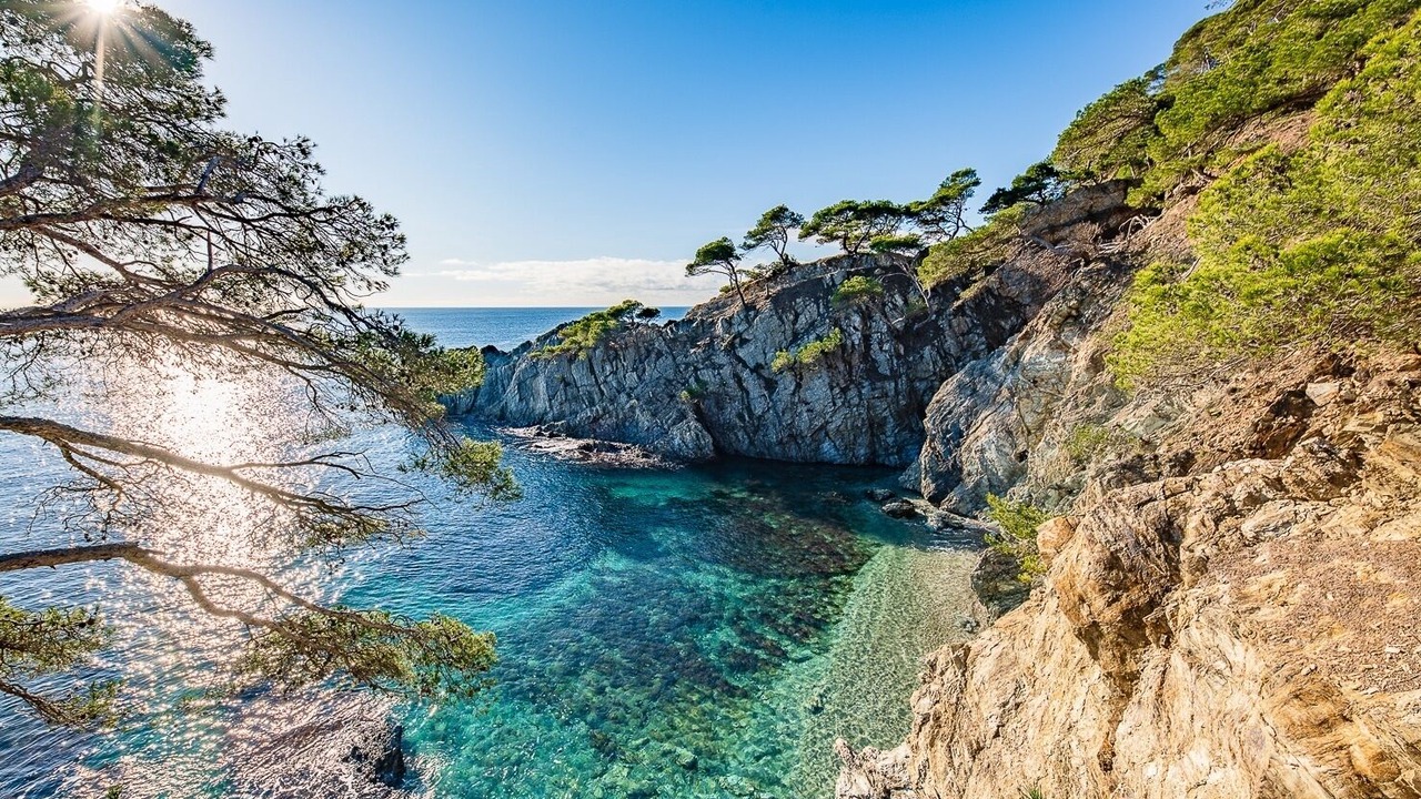 Photo of Others in Carqueiranne
