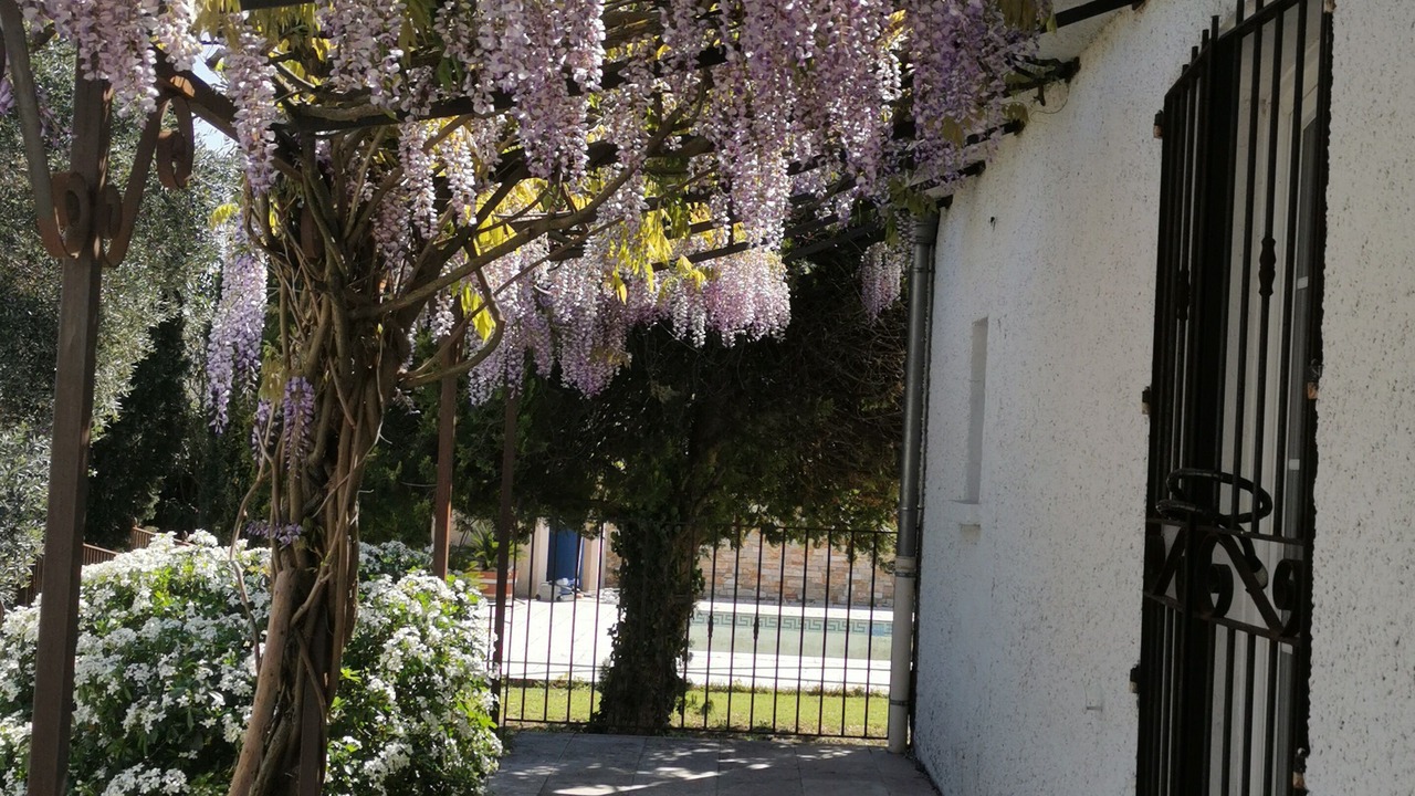 Photo of Outdoor in Manduel