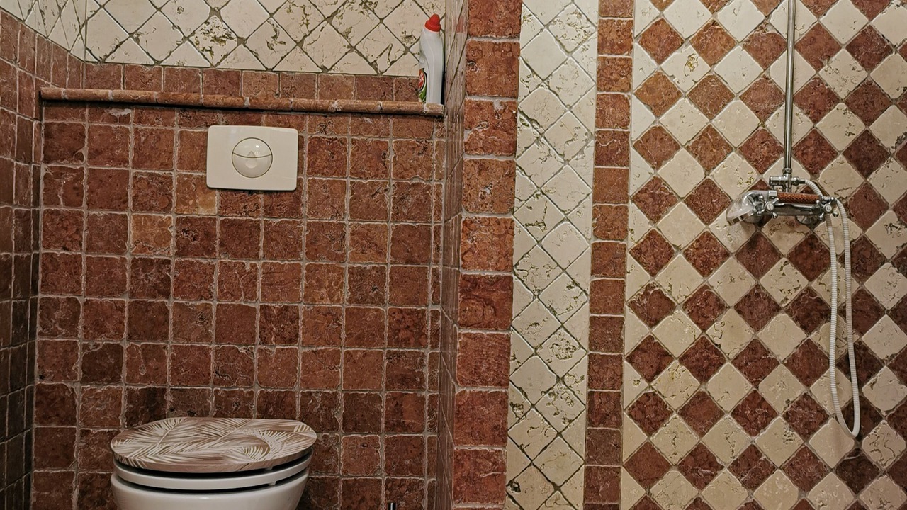 Photo of Bathroom in Manduel