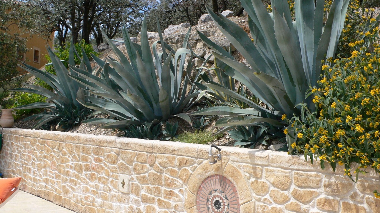 Photo of Outdoor in Buis-les-Baronnies