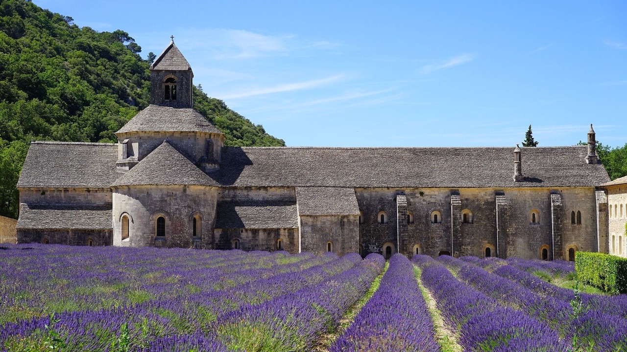 Photo of Others in Chateauneuf-de-Gadagne