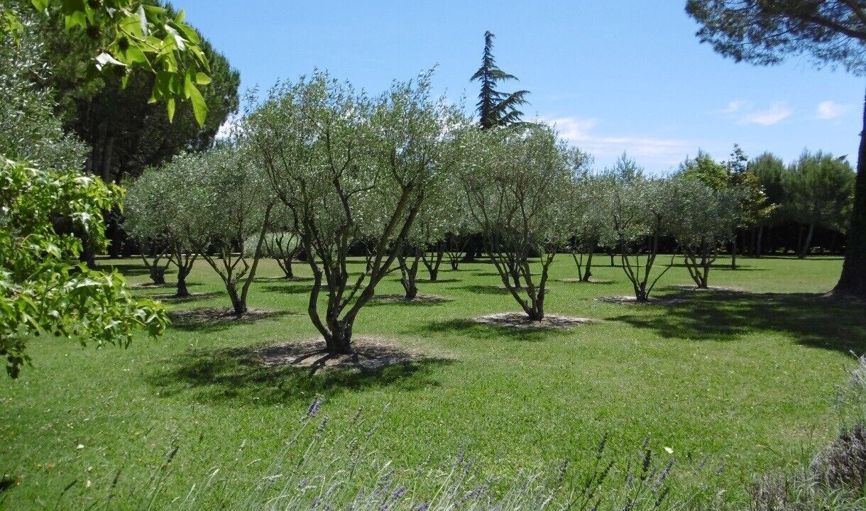 Photo of Outdoor in Rognonas
