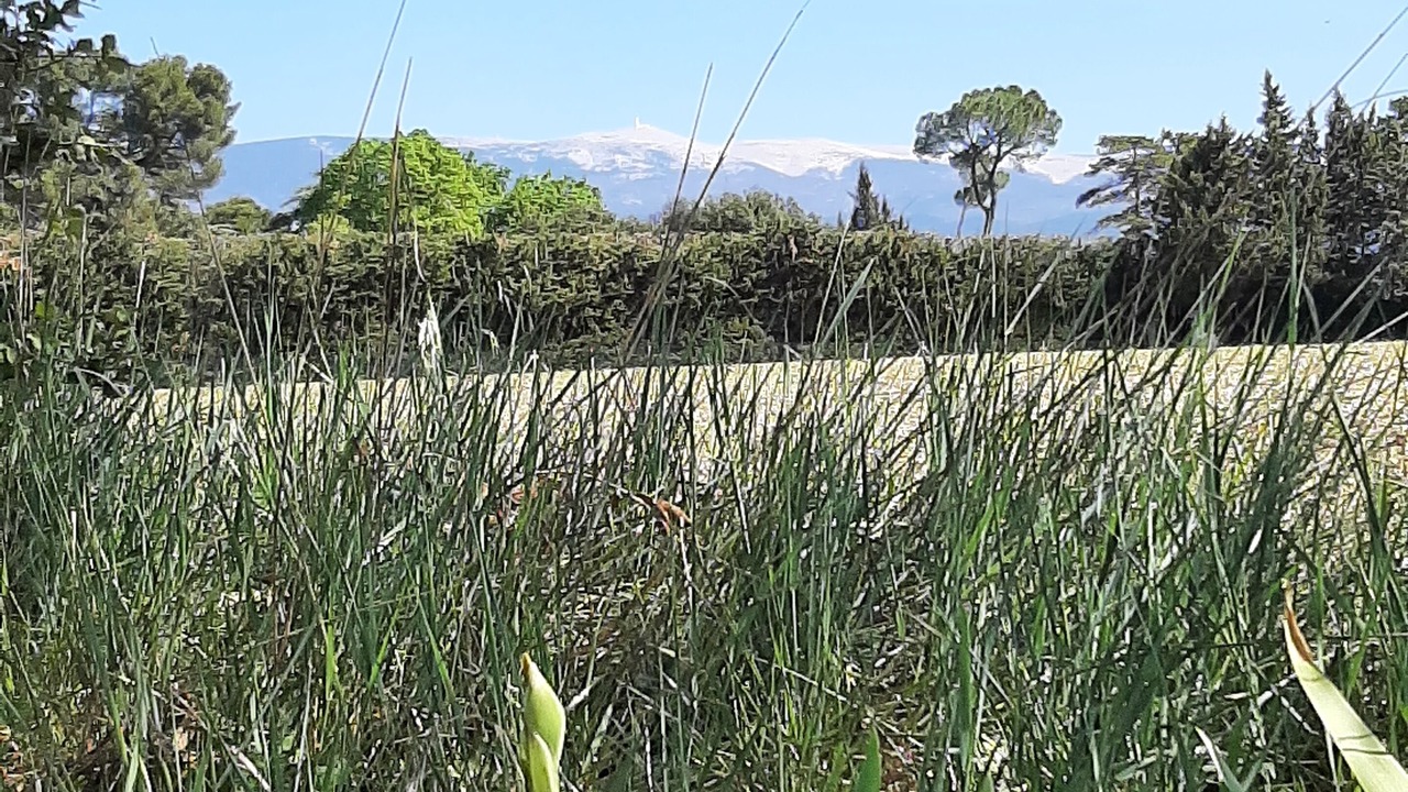 Photo of Outdoor in Mormoiron