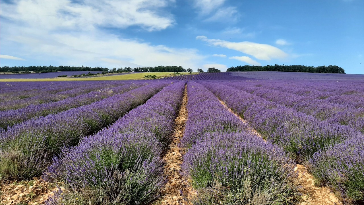 Photo of Outdoor in Mormoiron