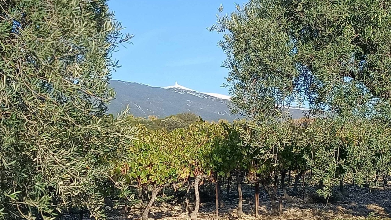 Photo of Outdoor in Mormoiron