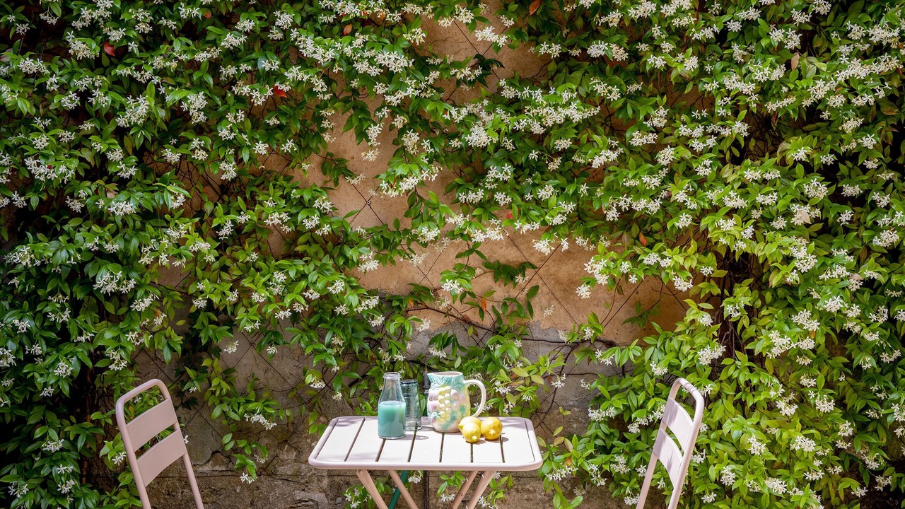 Photo of Outdoor in Villes-sur-Auzon
