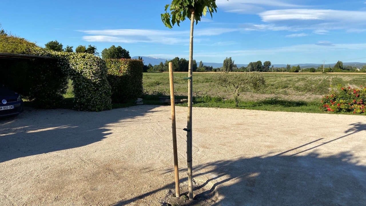 Photo of Outdoor in Saint-Saturnin-les-Avignon