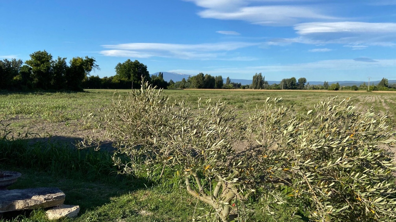 Photo of Outdoor in Saint-Saturnin-les-Avignon