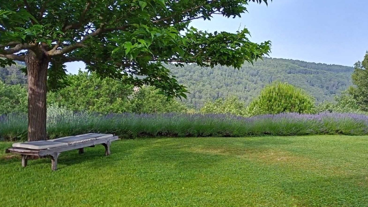 Photo of Outdoor in Salernes