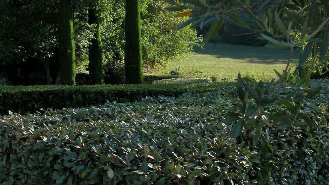 Photo of Outdoor in Forcalquier