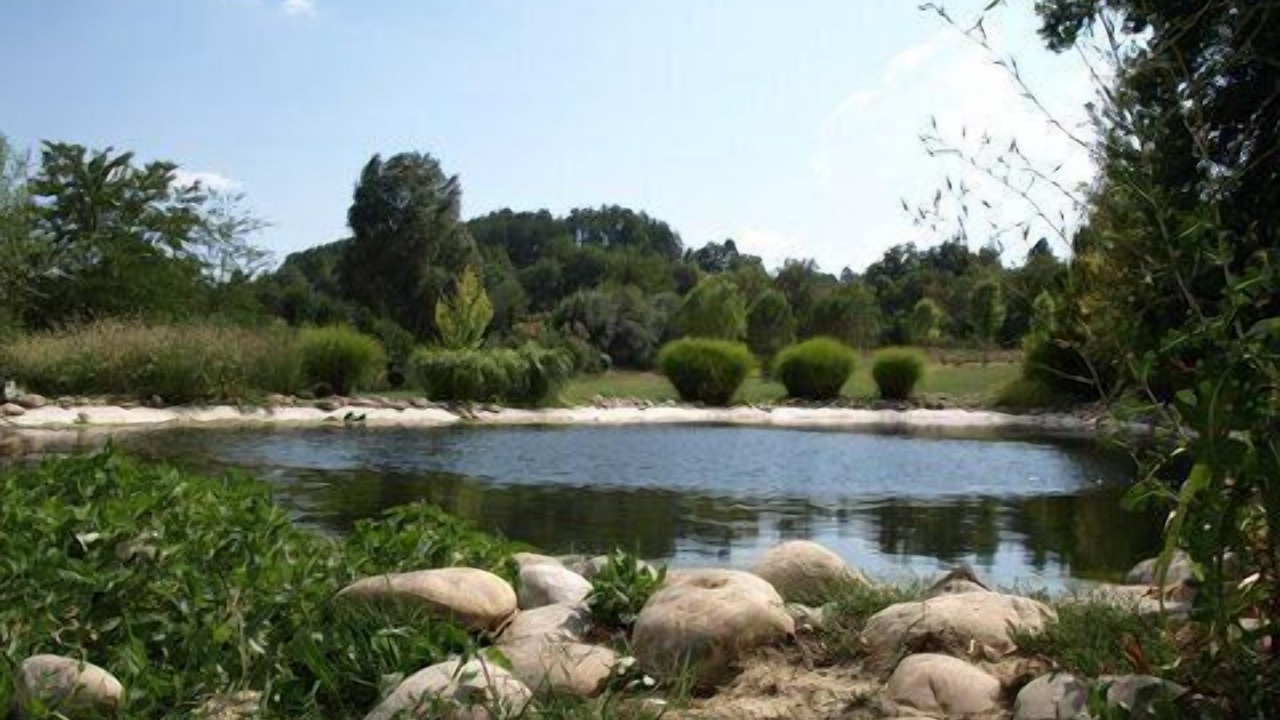 Photo of Outdoor in Forcalquier